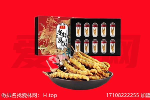 南京市高淳回收虫草.jpg